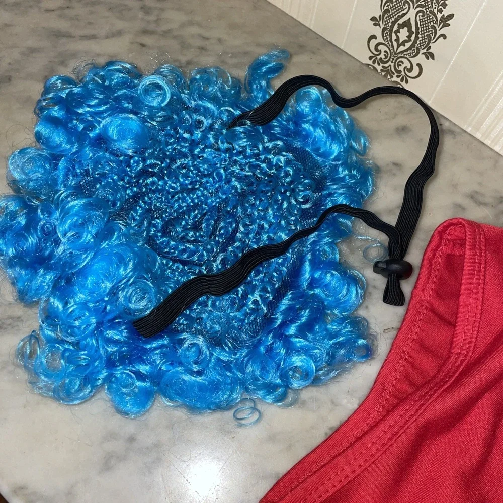 Cat X-Large Costume, Fits Small Dog Red Shirt, Blue Wig Tie-on